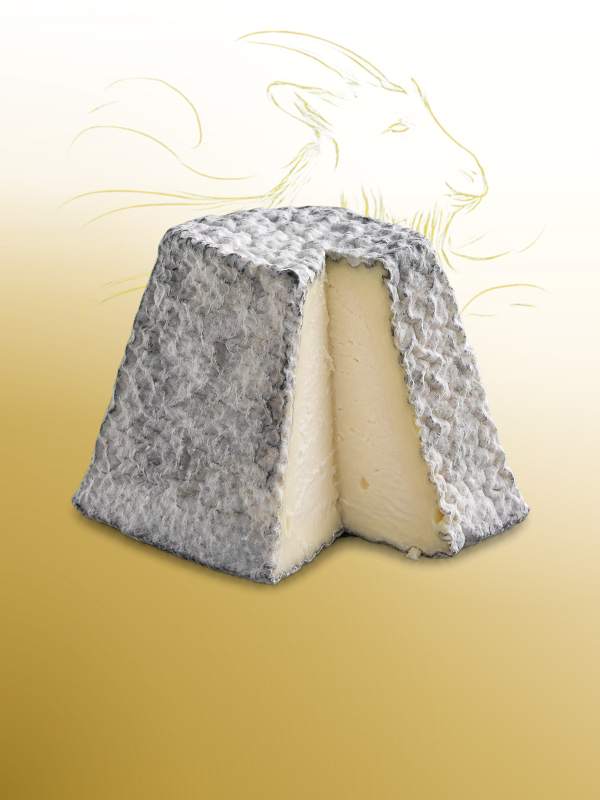 Quesos de leche de cabra artesanales Salvatore