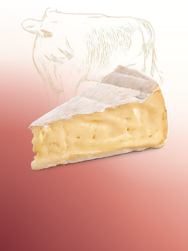 Queso brie artesanal Salvatore