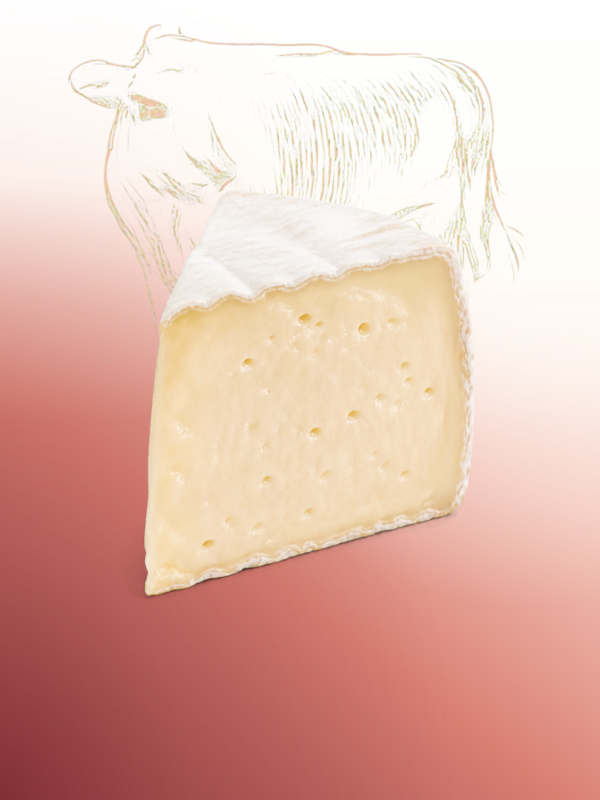 Queso camembert artesanal Salvatore