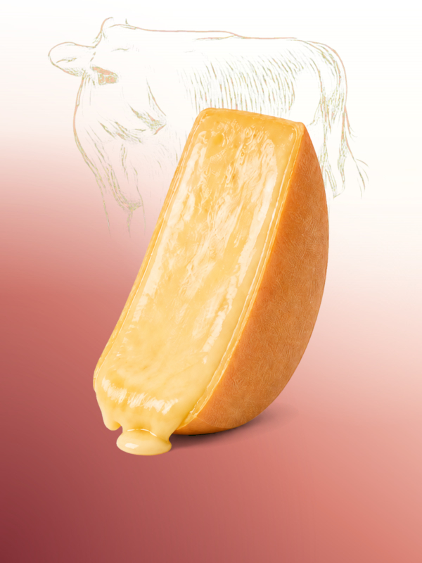 Queso raclette artesanal Salvatore